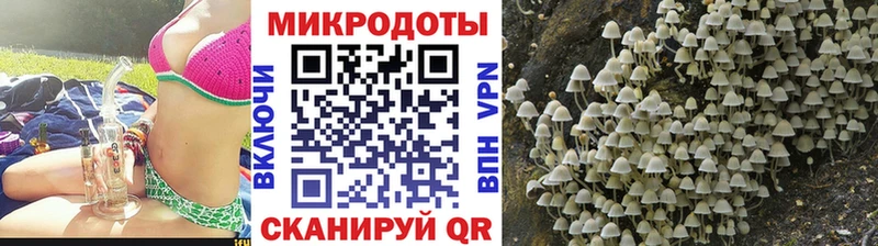 Псилоцибиновые грибы MAGIC MUSHROOMS Саранск