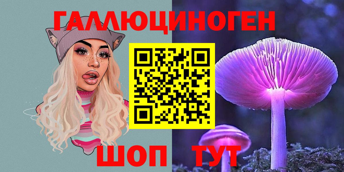 Псилоцибиновые грибы мицелий Саранск