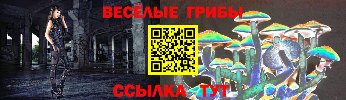 Псилоцибиновые грибы GOLDEN TEACHER  Вход с VPN  Саранск  Псилоцибиновые грибы ЛСД 