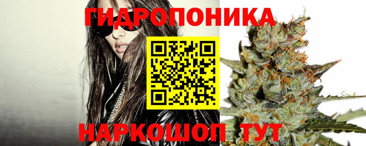 Канабис план  Вход с VPN  Канабис Ganja  Саранск 