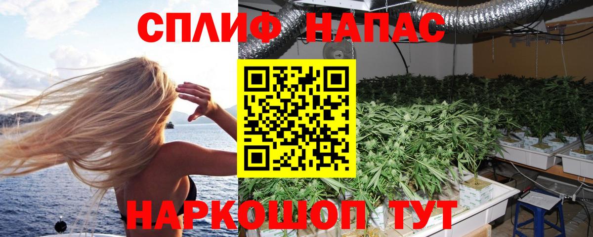 Канабис план Саранск